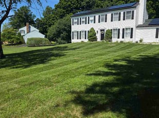 Ken J.'s turf maintenance service result