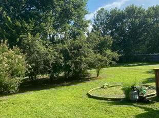 Victoria J.'s turf care service result