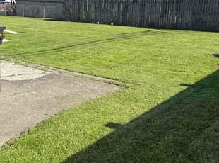 Michael C.'s lawn care services service result