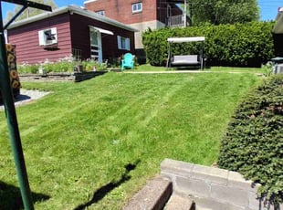 Dondi S.'s lawn maintenance service result