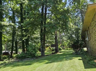 Marian B.'s turf maintenance service result