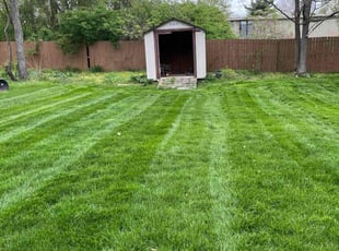 Brenda S.'s turf maintenance service result
