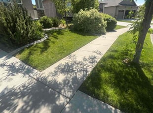 Dominique L.'s lawn care services service result