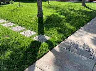 Rebecca C.'s lawn maintenance service result