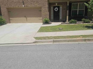 Diane L.'s turf care service result