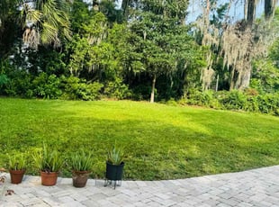 Arka C.'s grass maintenance service result