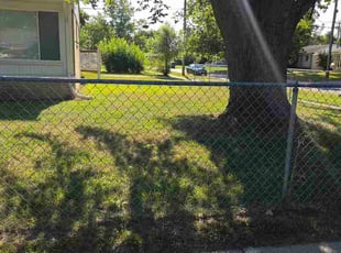 Rich A.'s turf care service result