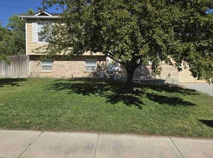 Jerry L.'s turf maintenance service result