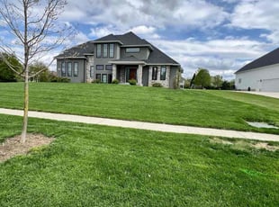 Tom D.'s grass cutting service result
