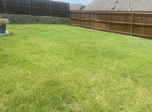 Miguel A.'s lawn care services service result