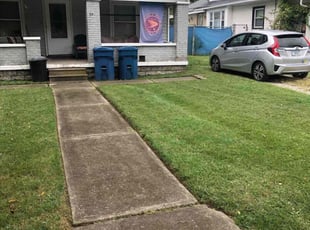 Habeeb K.'s lawn care services service result