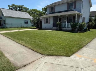 Hector P.'s lawn service service result