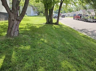 Sarah L.'s turf care service result