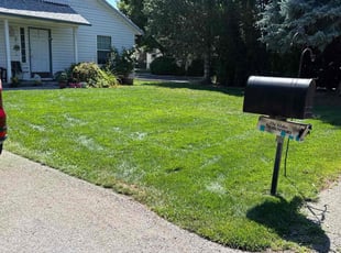 James D.'s turf maintenance service result