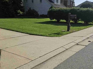 Liam S.'s lawn service service result