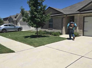 Victoria D.'s grass cutting service result
