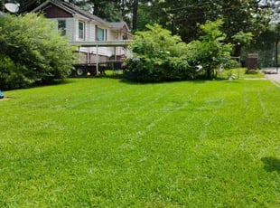 Andre C.'s lawn care services service result