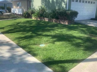 Nancy T.'s landscaping services service result