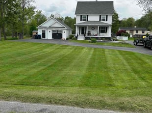 Janis L.'s lawn care service result