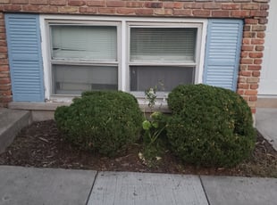 Sherrill W.'s Bush Trimming service result