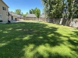 Aaron C.'s lawn service service result