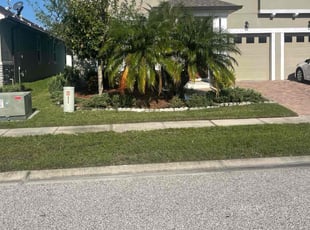 Maryna I.'s lawn care service result