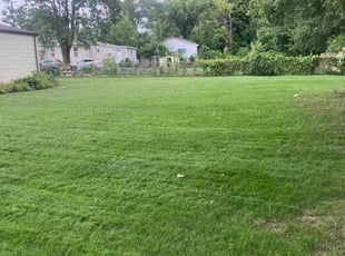 Janis N.'s lawn care services service result