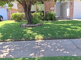 Carol A.'s grass maintenance service result
