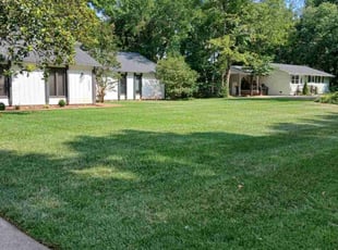 Mark V.'s lawn maintenance service result