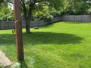 Victor V.'s turf maintenance service result