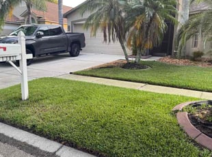 Kim F.'s Weeding service result