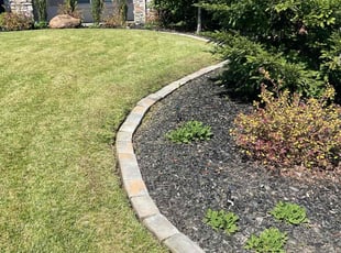 Alvin C.'s yard care service result