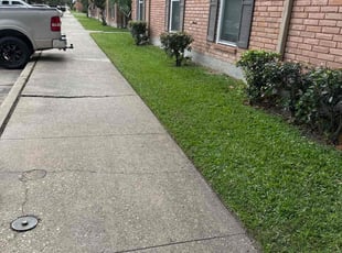 Richard B.'s lawn service service result