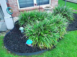 John W.'s Flower Bed Weeding service result