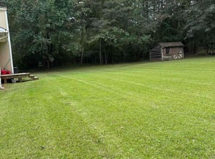 Tim G.'s lawn care service result