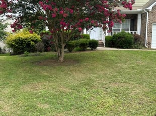 Gloria B.'s turf maintenance service result