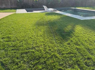 Seren O.'s grass maintenance service result