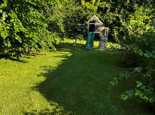 Cora S.'s turf maintenance service result