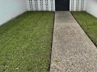 Sherman P.'s turf care service result