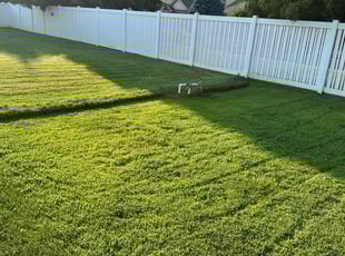Steven K.'s turf maintenance service result