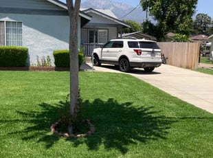 Melissa L.'s lawn care service result