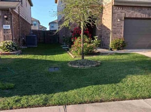 Gordon S.'s grass maintenance service result