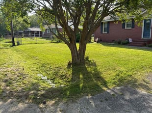 Dave O.'s grass maintenance service result