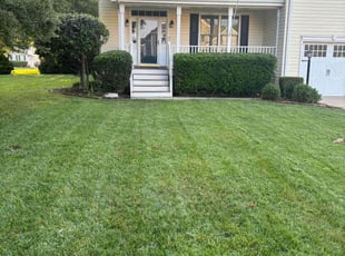 Christine W.'s lawn care service result