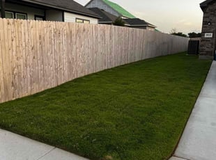 Dan P.'s turf maintenance service result