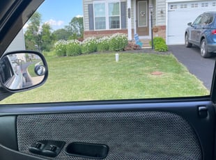 Tamika W.'s lawn care service result