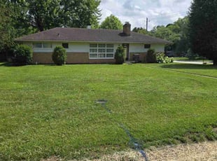 Linda D.'s turf maintenance service result