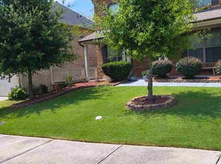 Bobby P.'s grass cutting service result