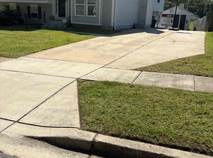 Matt G.'s grass cutting service result