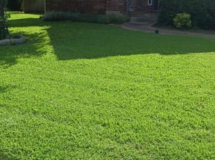 Terrance K.'s lawn care service result